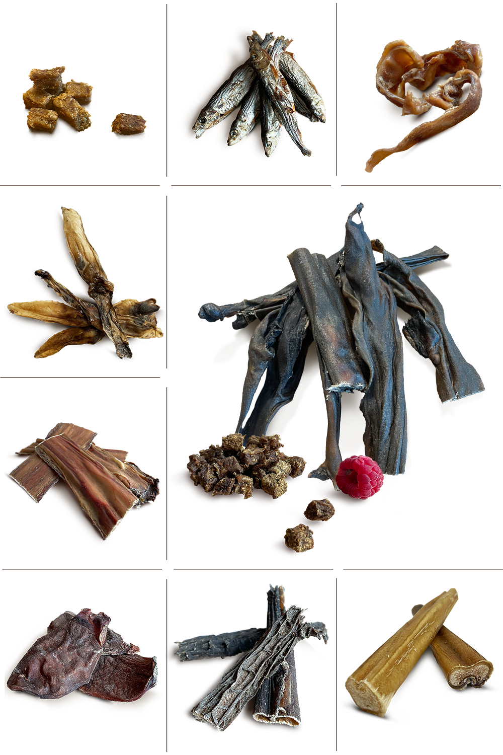 Zestaw startowy duży