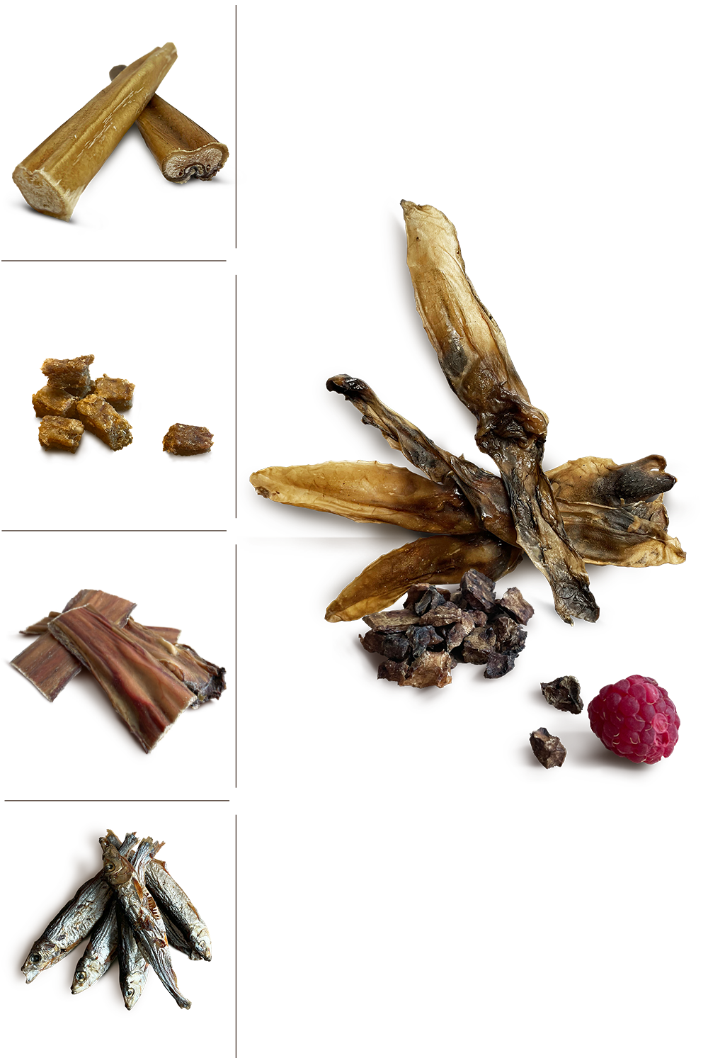 Zestaw startowy mały